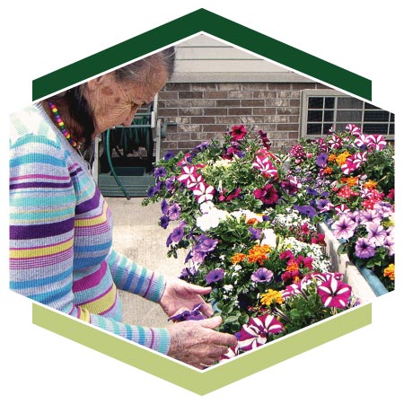 Rose and herb gardens to satisfy your green thumb